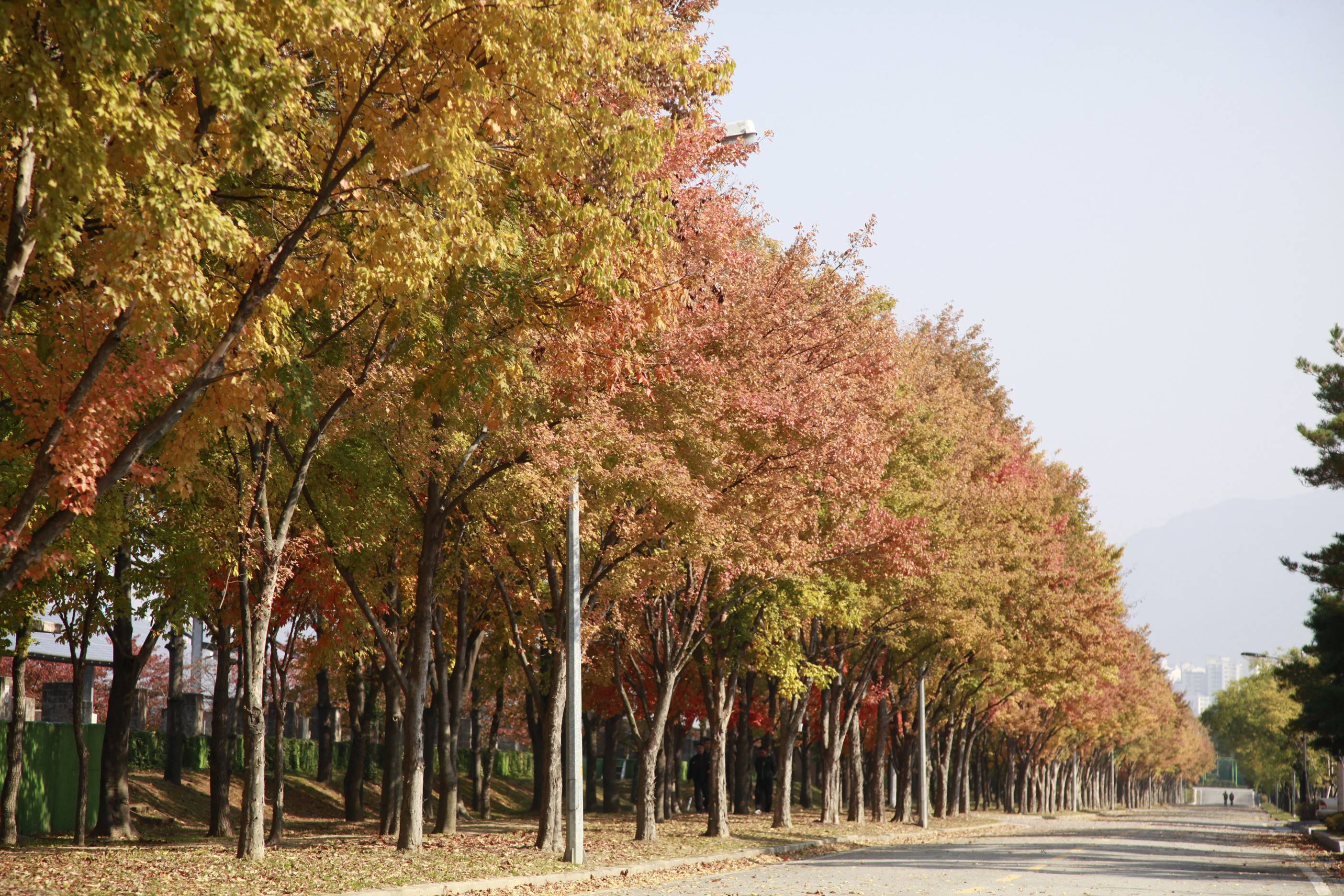 서부사업소 가을 전경