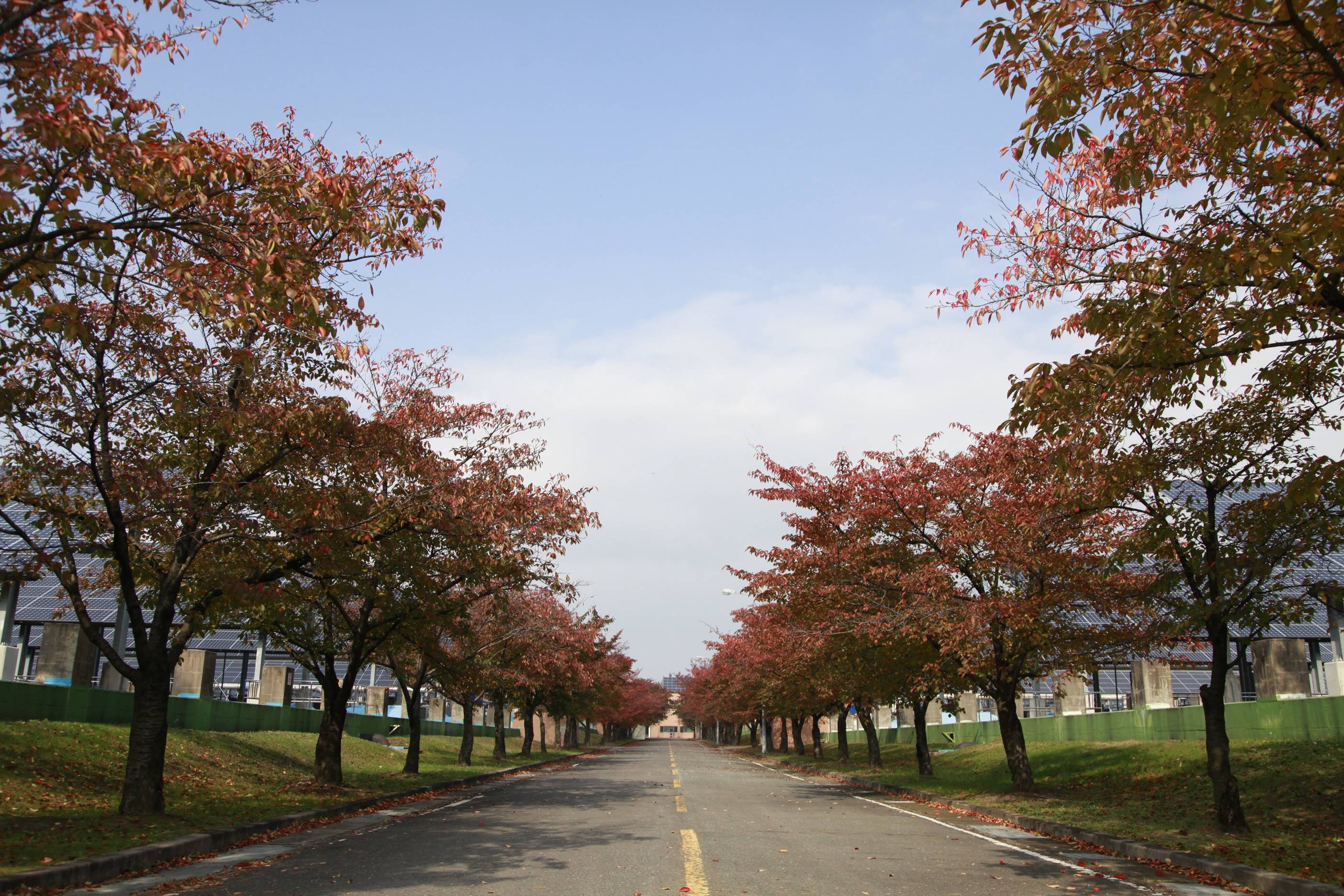 서부사업소 가을 전경