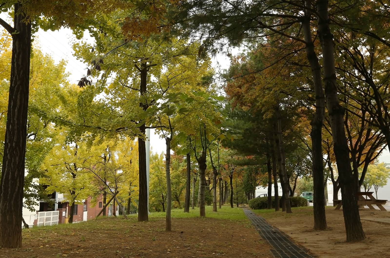 성서사업소 여름 전경